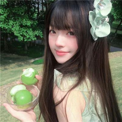 淑女鸟